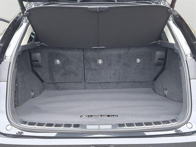 Photo of 2023 Caviar Lexus NX 350