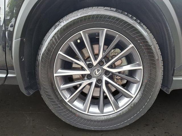 Photo of 2023 Caviar Lexus NX 350
