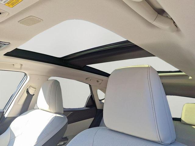 Photo of 2025 Grecian Water Lexus NX 450h+