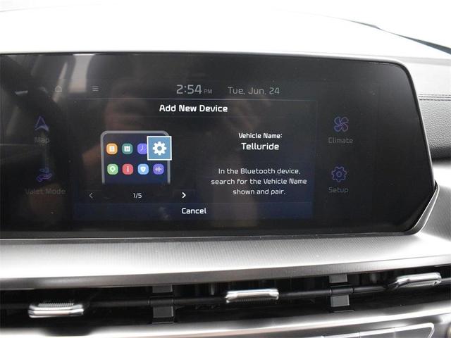 Photo of 2025 Metal Kia Telluride