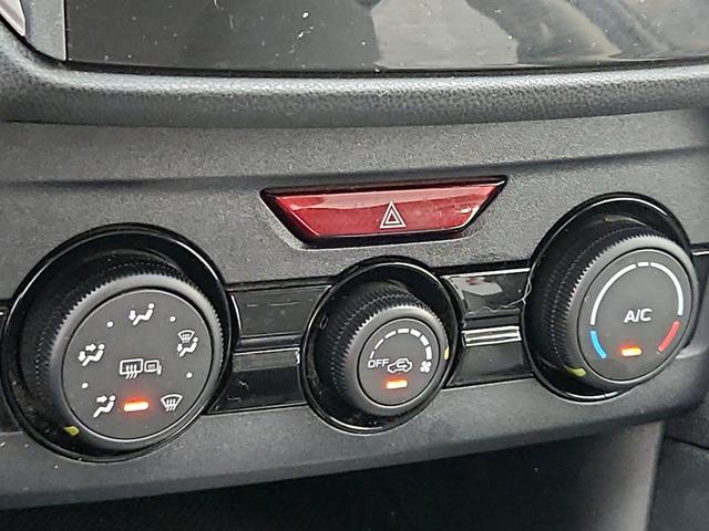 Photo of 2019 Blue Subaru Crosstrek