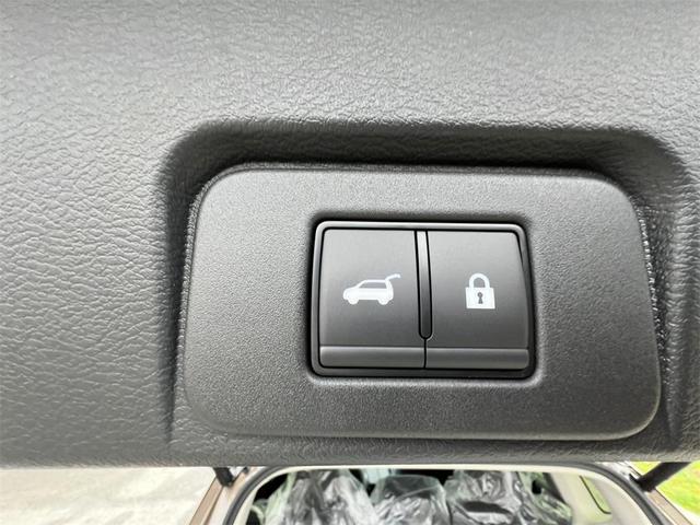 Photo of 2025 Baja Storm Nissan Rogue