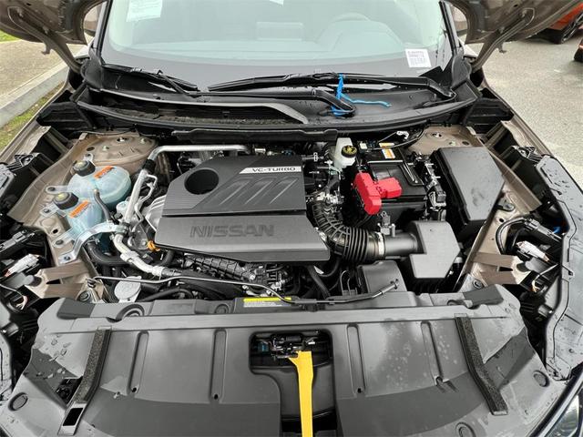 Photo of 2025 Baja Storm Nissan Rogue