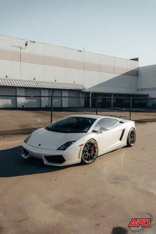 Photo of 2011 Bianco Monocerus Lamborghini Gallardo