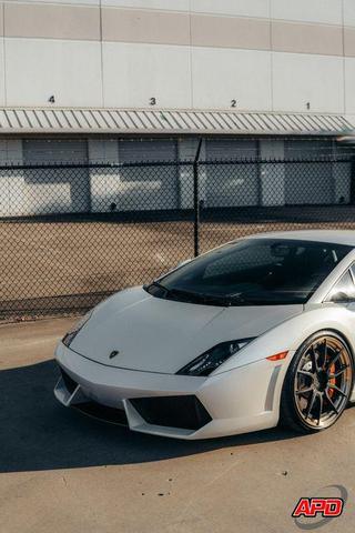 Photo of 2011 Bianco Monocerus Lamborghini Gallardo