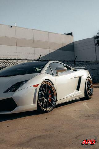 Photo of 2011 Bianco Monocerus Lamborghini Gallardo