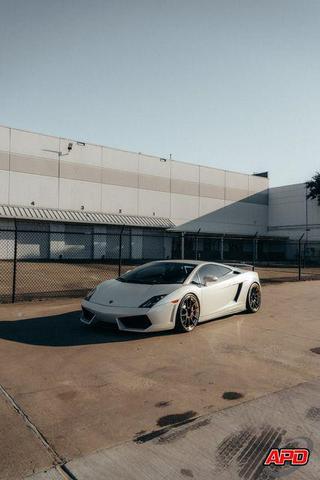 Photo of 2011 Bianco Monocerus Lamborghini Gallardo