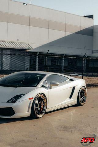 Photo of 2011 Bianco Monocerus Lamborghini Gallardo