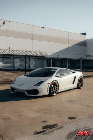 Photo of 2011 Bianco Monocerus Lamborghini Gallardo