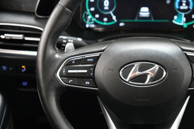Photo of 2021 Rainforest Hyundai PALISADE