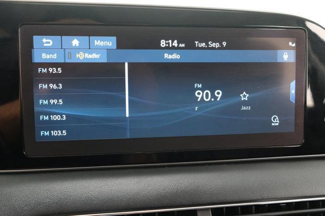 Photo of 2021 Rainforest Hyundai PALISADE