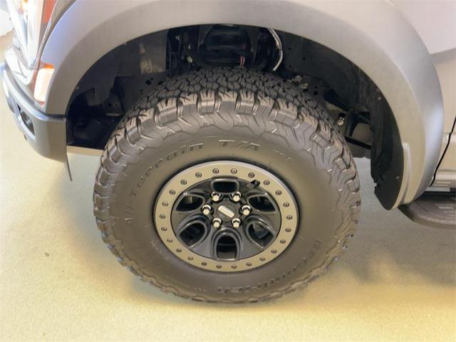 Photo of 2021 Lead Foot Ford F-150