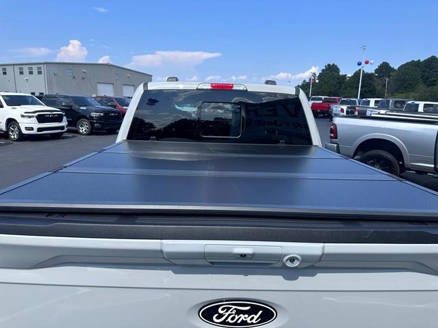 Photo of 2024 Avalanche Gray Ford F-150