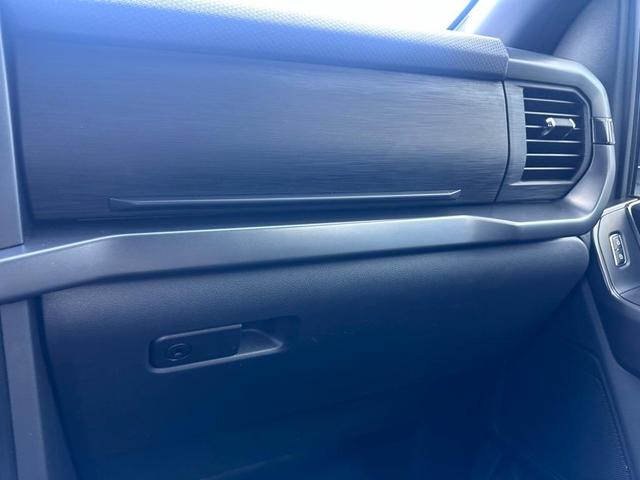 Photo of 2024 Avalanche Gray Ford F-150