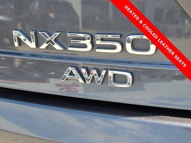 Photo of 2023 Cloudburst Gray Lexus NX 350
