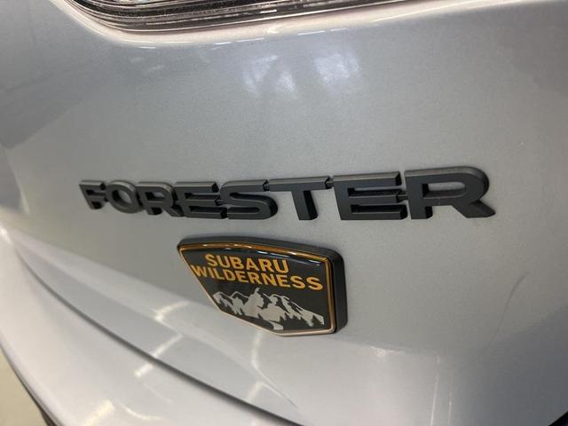 Photo of 2024 Ice Silver Metallic Subaru Forester