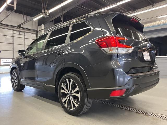 Photo of 2019 Dark Gray Metallic Subaru Forester