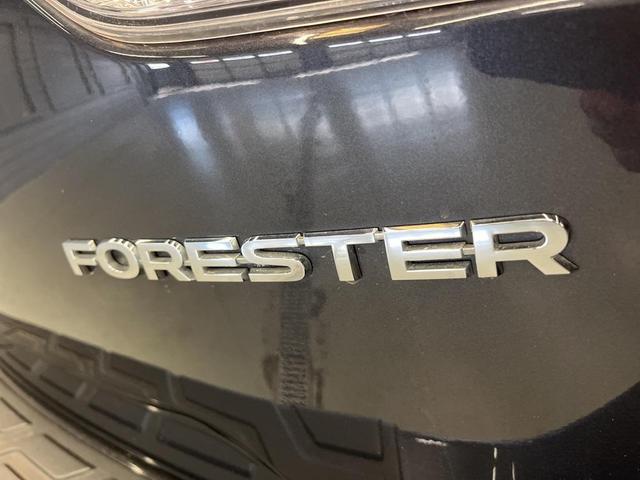 Photo of 2019 Dark Gray Metallic Subaru Forester