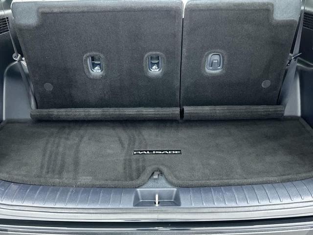 Photo of 2021 Moonlight Cloud Hyundai PALISADE