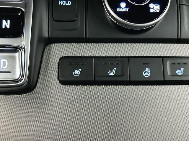 Photo of 2021 Moonlight Cloud Hyundai PALISADE