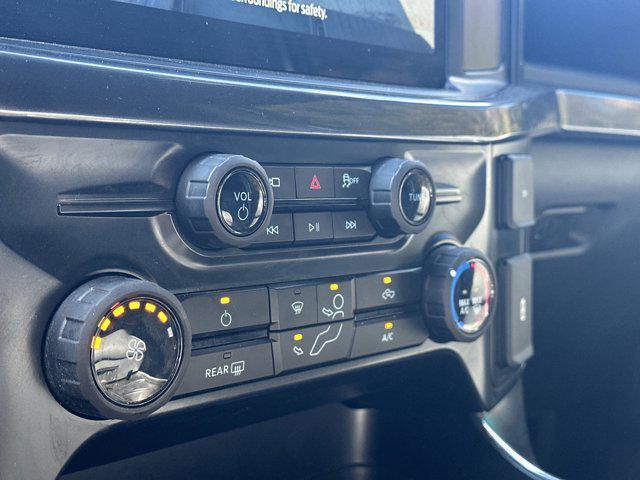 Photo of 2025 Gray Metallic Ford F-150