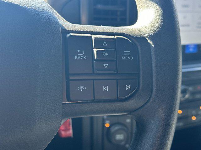 Photo of 2025 Gray Metallic Ford F-150