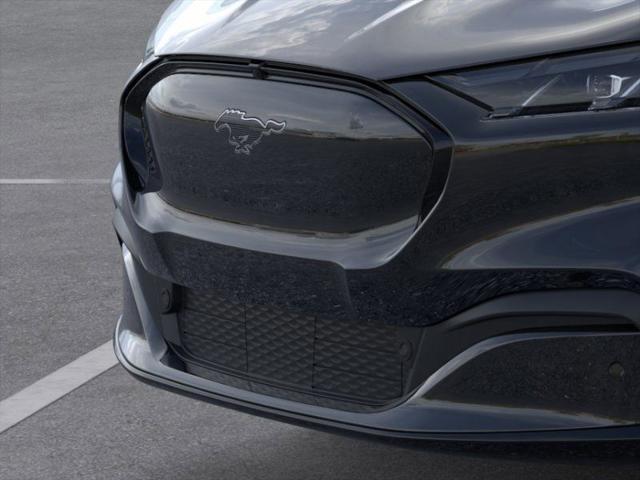 Photo of 2025 Shadow Black Ford Mustang Mach-E