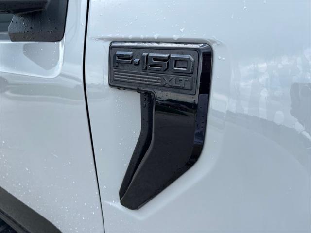 Photo of 2024 Avalanche Gray Ford F-150