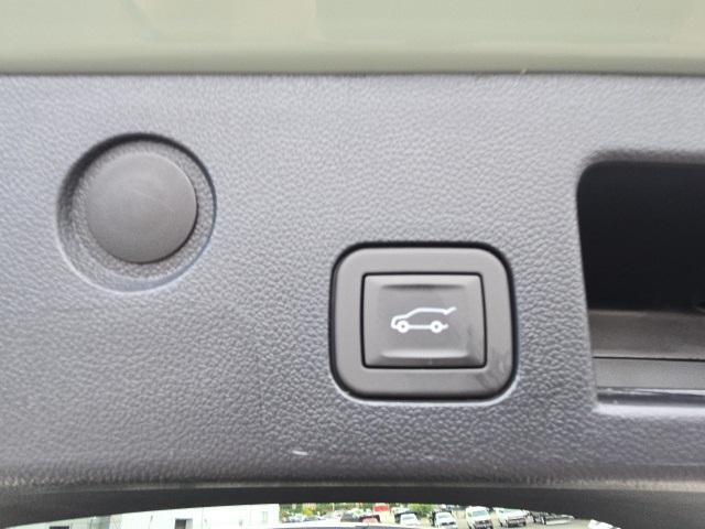 Photo of 2026 Cacti Green Chevrolet Equinox