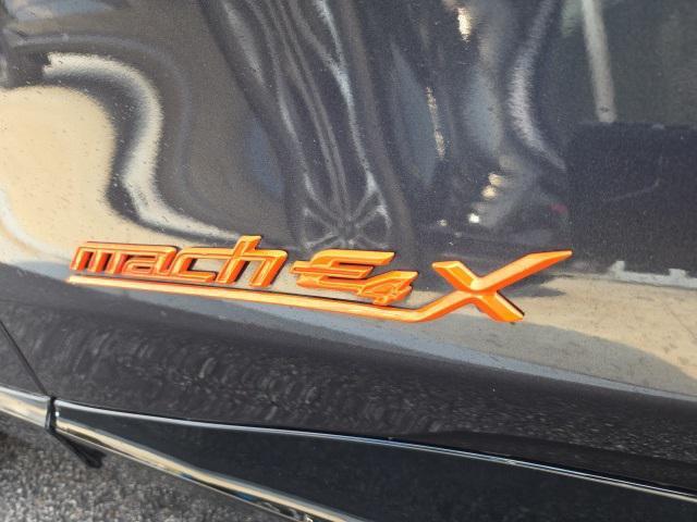 Photo of 2021 Gray Metallic Ford Mustang Mach-E