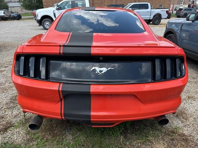 Photo of 2015 Orange Ford Mustang