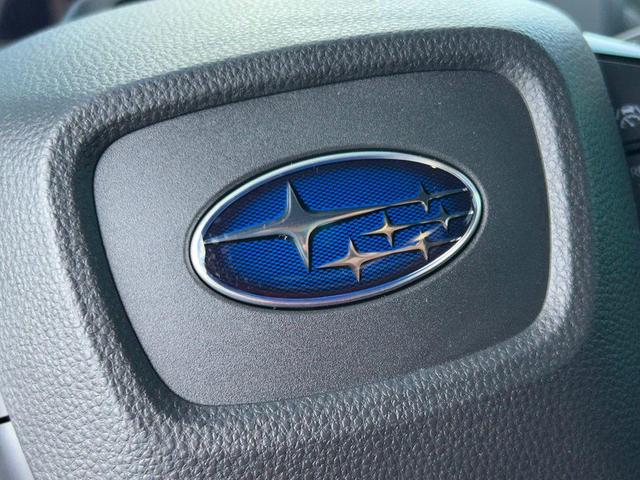 Photo of 2025 Smoked Carbon Subaru Solterra