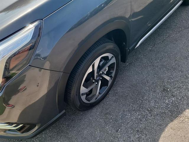 Photo of 2023 Gray Metallic Subaru Forester