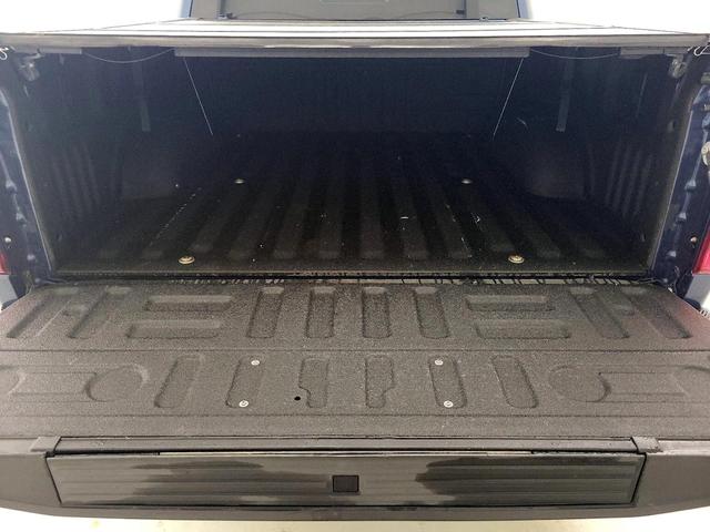 Photo of 2016 Blue Ford F-150
