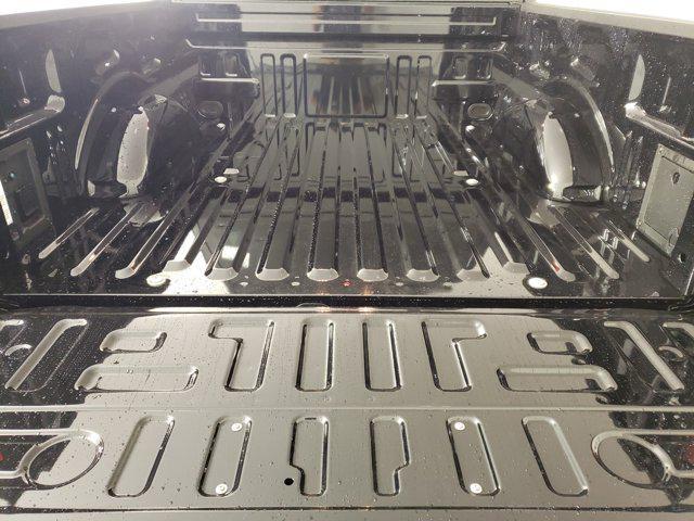 Photo of 2025 Agate Black Metallic Ford F-150