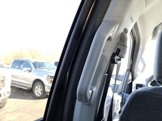 Photo of 2025 Carbonized Gray Metallic Ford F-250