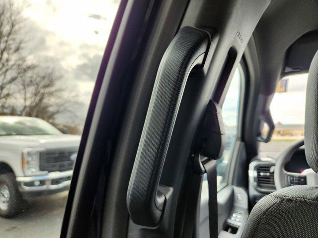 Photo of 2025 Agate Black Metallic Ford F-150
