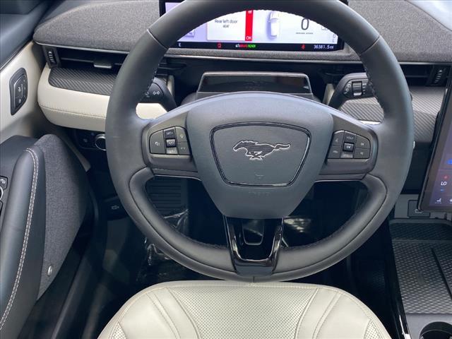 Photo of 2021 Rapid Red Metallic Tinted Clearcoat Ford Mustang Mach-E