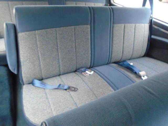 Photo of 1990 BLUE Chevrolet Sportvan