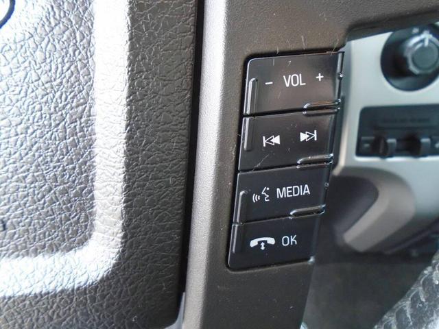 Photo of 2013 BLUE Ford F-150