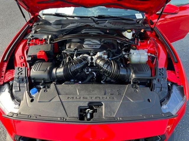 Photo of 2024 Race Red Ford Mustang