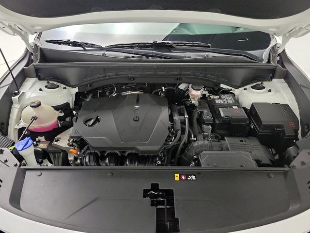 Photo of 2023 White Kia Sorento