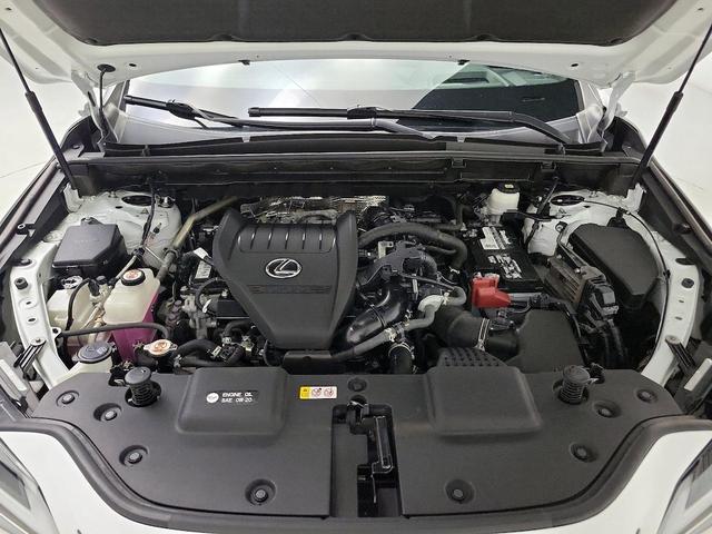 Photo of 2022 White Lexus NX 350