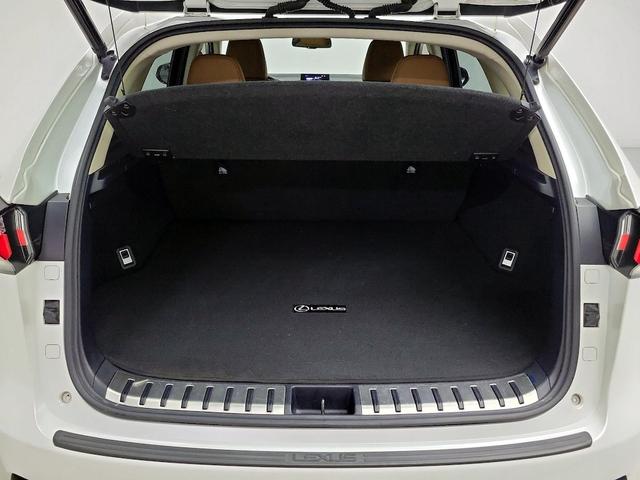 Photo of 2017 White Lexus NX 200t