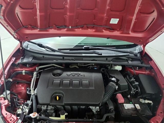 Photo of 2019 Red Toyota Corolla
