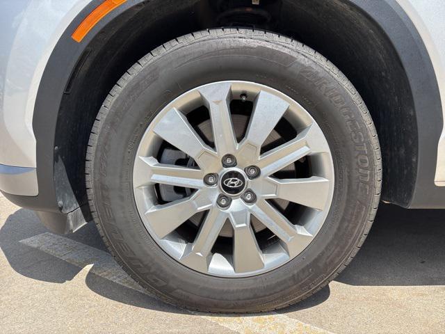 Photo of 2025 Typhoon Silver Hyundai PALISADE