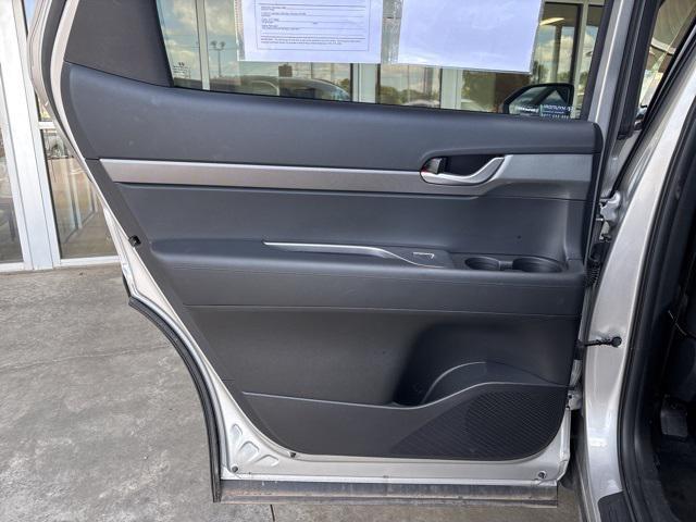 Photo of 2025 Typhoon Silver Hyundai PALISADE