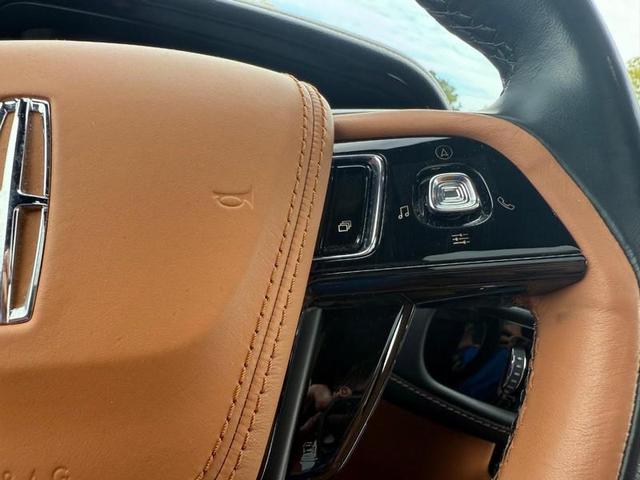Photo of 2023 Radiance Metallic Lincoln Aviator