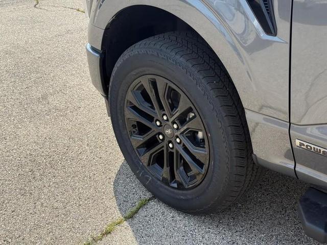 Photo of 2025 Carbonized Gray Metallic Ford F-150