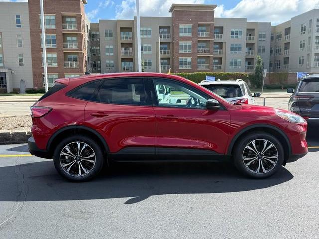Photo of 2022 Rapid Red Metallic Tinted Clearcoat Ford Escape